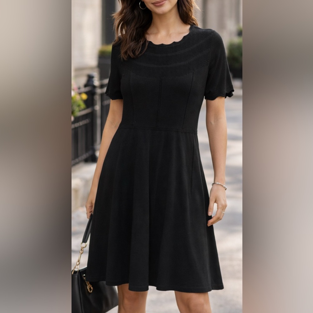 Dressbarn Black Flutter Sleeve A-Line Knit Dress